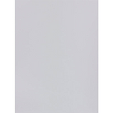 Trueliving_Centuryply_FROSTY WHITE_Design Code: 111 MATT_SIZE:2440 MM X 1220 MM  THICKNESS: 1 MM